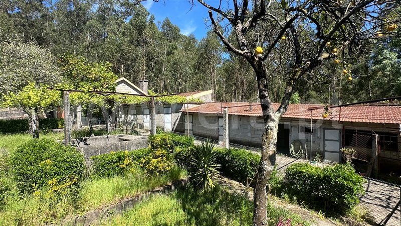 Moradia Isolada T6 Vila Nova de Famalicão, Vale (São Cosme), Telhado e Portela - 1401632 - 6