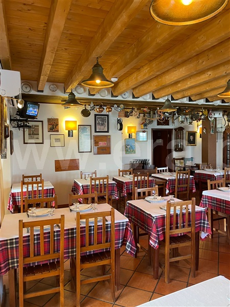 Moradia Isolada / Tomar, São Pedro de Tomar