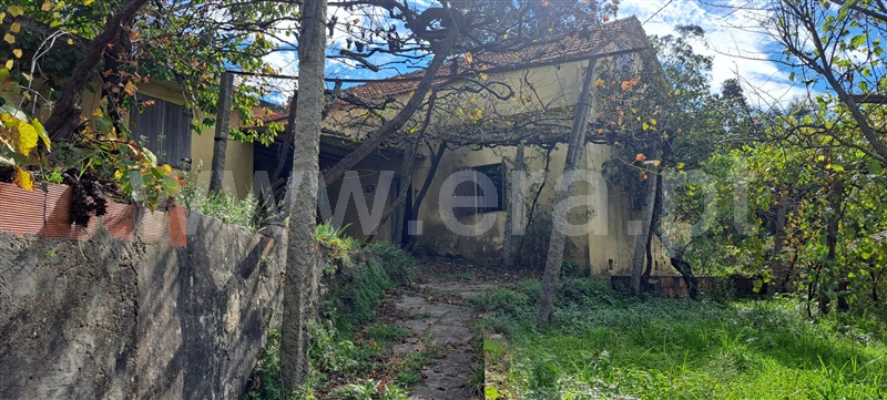Moradia Isolada  Vale de Cambra, São Pedro de Castelões - 1378096 - 2