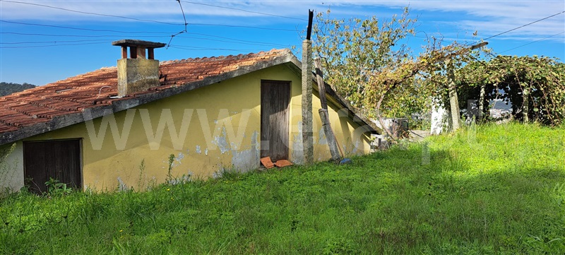 Moradia Isolada  Vale de Cambra, São Pedro de Castelões - 1378096 - 4