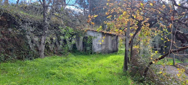 Moradia Isolada  Vale de Cambra, São Pedro de Castelões - 1378096 - 7
