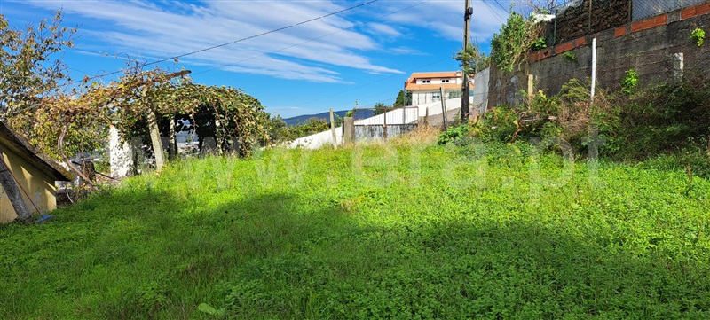 Moradia Isolada  Vale de Cambra, São Pedro de Castelões - 1378096 - 9