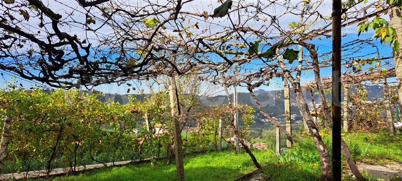 Moradia Isolada  Vale de Cambra, São Pedro de Castelões - 1378096 - 18