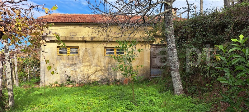 Moradia Isolada  Vale de Cambra, São Pedro de Castelões - 1378096 - 24