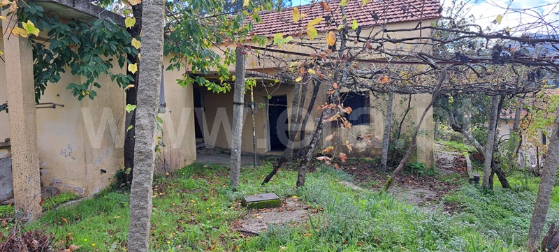Moradia Isolada  Vale de Cambra, São Pedro de Castelões - 1378096 - 27