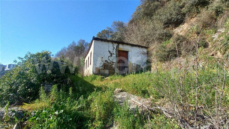 Moradia / Lamego, Lamego (Almacave e Sé)