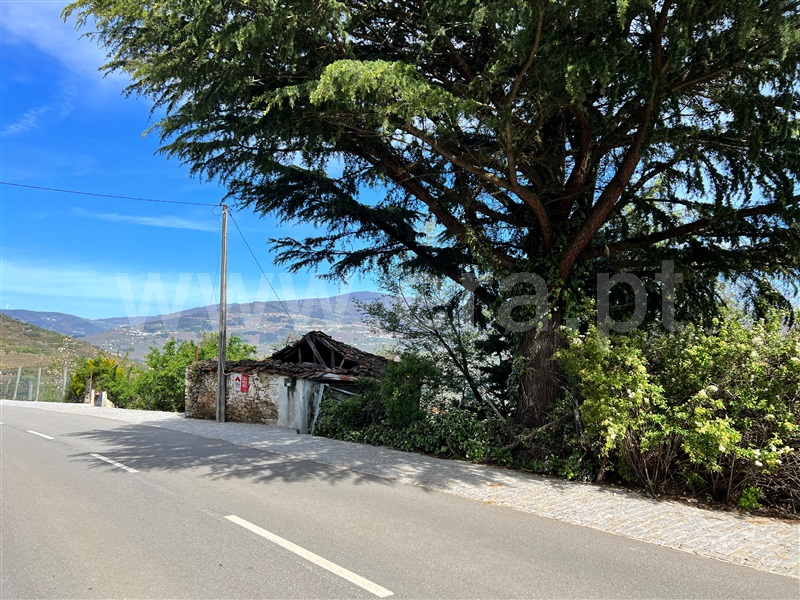 Moradia  Lamego, Samodães - 1396932 - 4