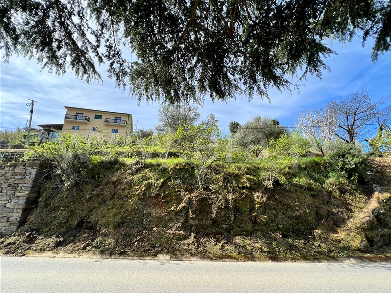 Moradia  Lamego, Samodães - 1396932 - 5