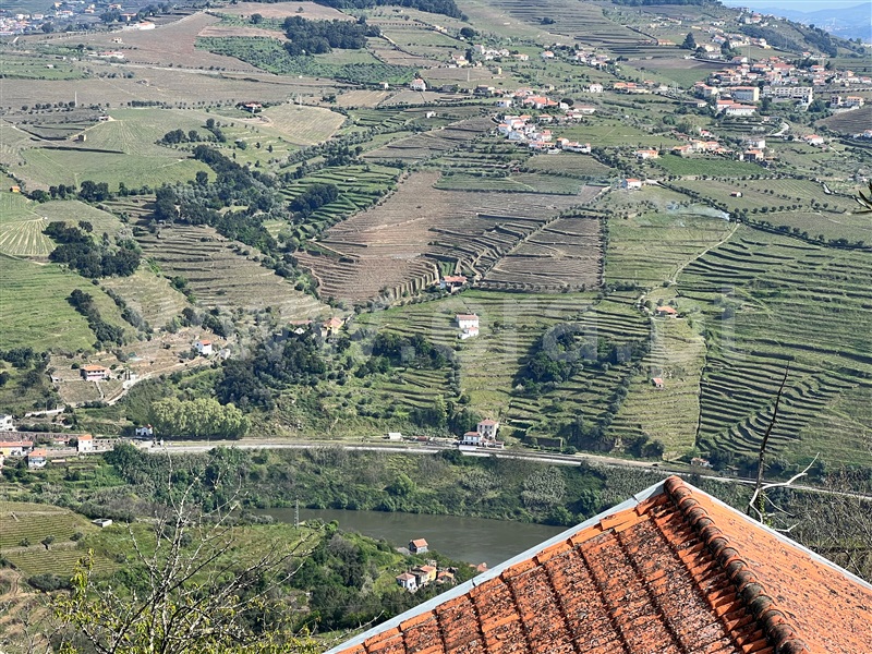 Moradia  Lamego, Samodães - 1396932 - 6