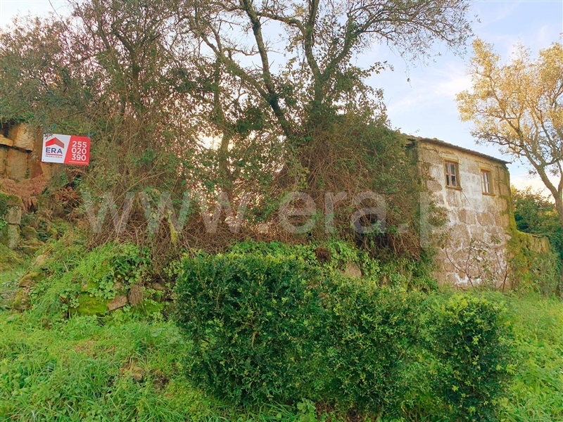 Moradia  Marco de Canaveses, Várzea, Aliviada e Folhada - 1296727 - 2