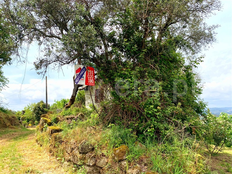 Moradia  Marco de Canaveses, Várzea, Aliviada e Folhada - 1296727 - 7