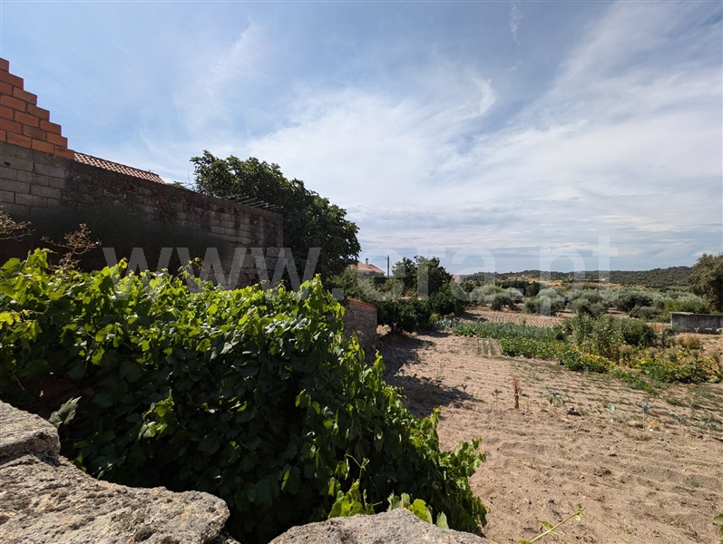 Moradia  Meda, Marialva - 1497786 - 9