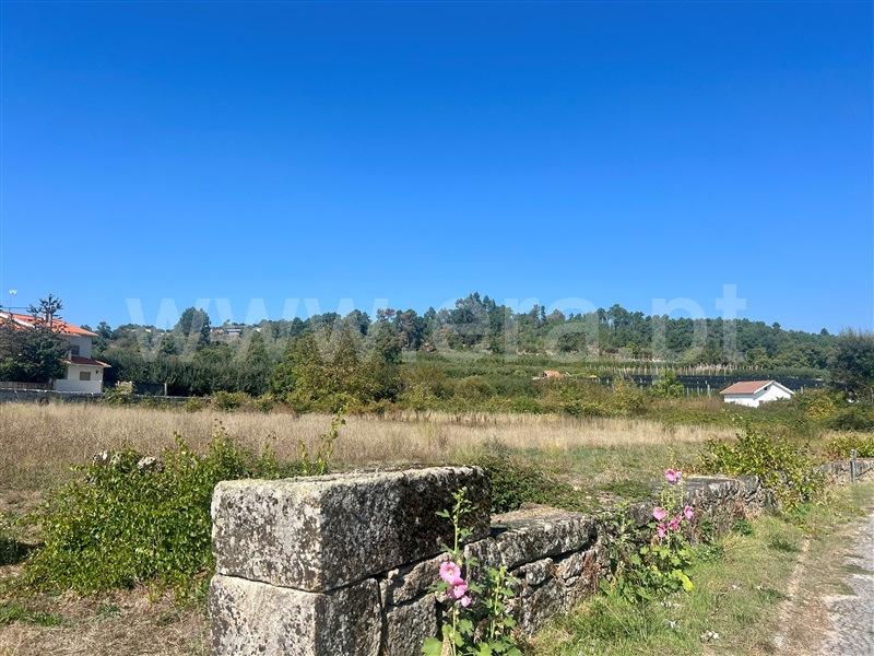 Moradia  Moimenta da Beira, Passô - 1506183 - 8