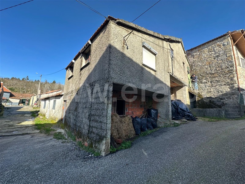 Moradia / Montalegre, Cervos