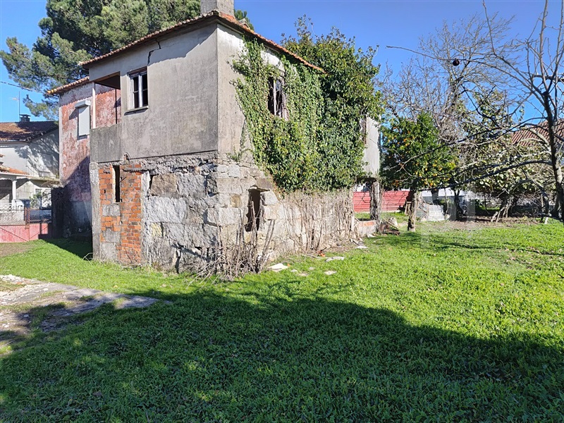 Moradia  Nelas, Canas de Senhorim - 1451624 - 4