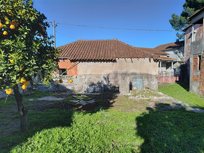 Moradia  Nelas, Canas de Senhorim - 1451624 - 5