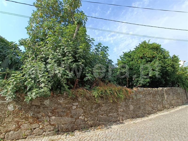 Moradia  Nelas, Vilar Seco - 1499290 - 3