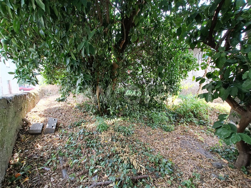 Moradia  Nelas, Vilar Seco - 1499290 - 13