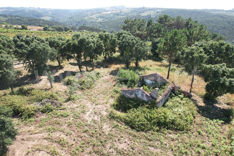 Terreno com ruina  Óbidos, A-dos-Negros - 1493279 - 2