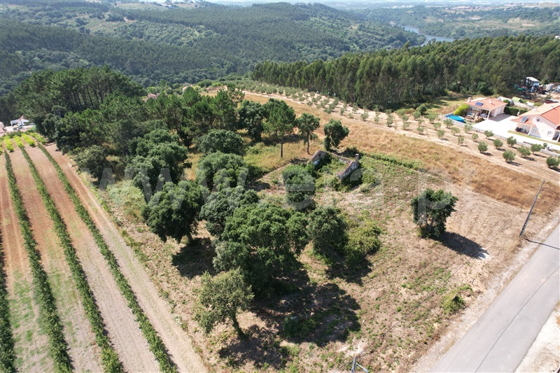 Terreno com ruina  Óbidos, A-dos-Negros - 1493279 - 3