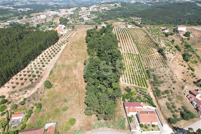 Terreno com ruina  Óbidos, A-dos-Negros - 1493279 - 4