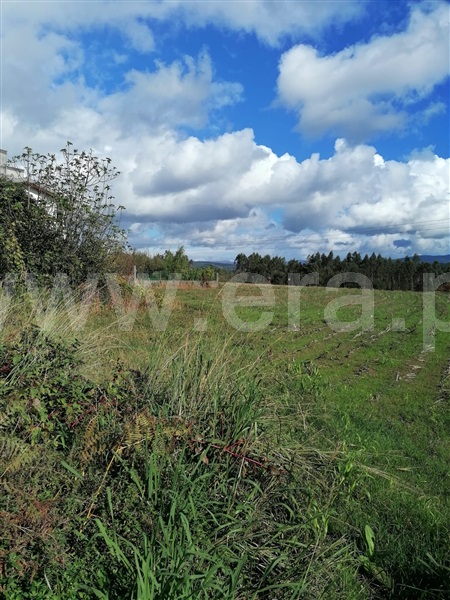 Moradia à venda em Ul, Oliveira de Azeméis — foto 5