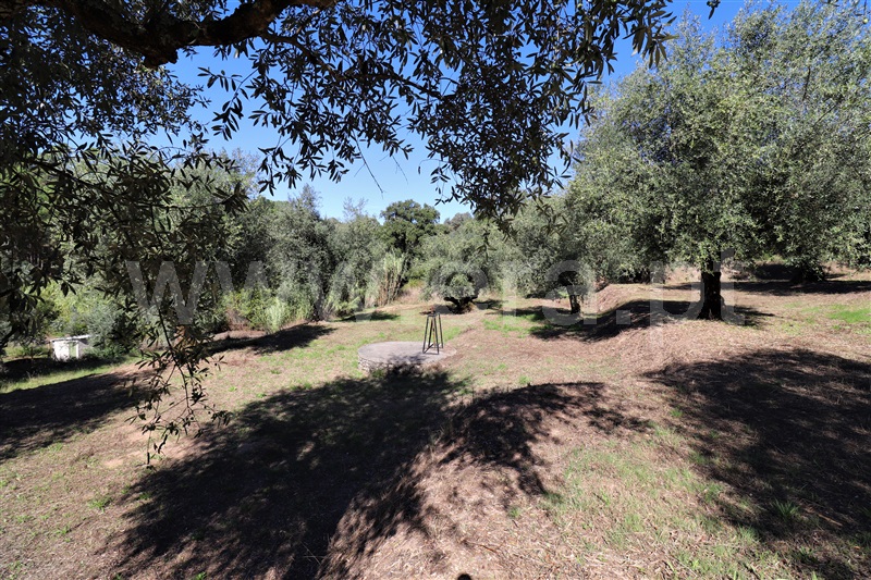 Moradia  Ourém, Seiça - 1114519 - 11