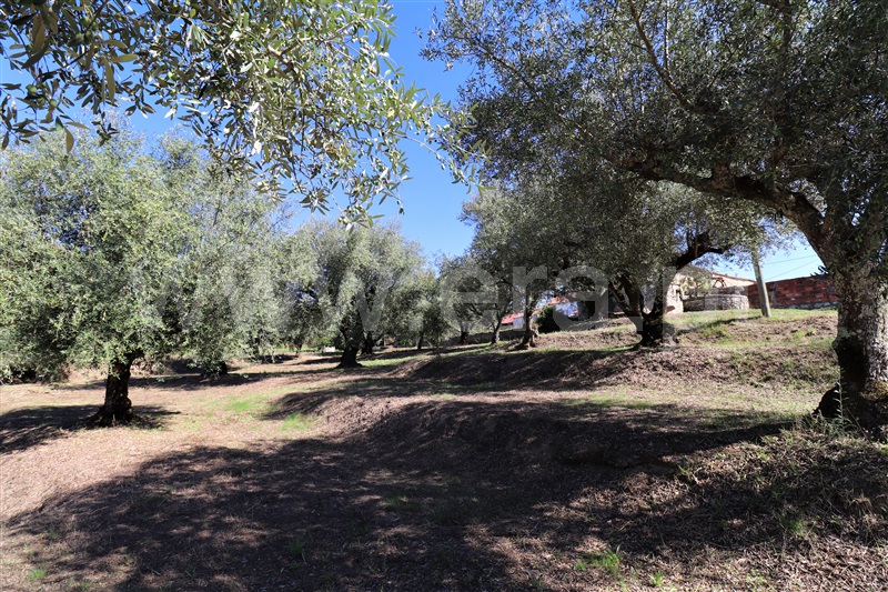 Moradia  Ourém, Seiça - 1114519 - 12