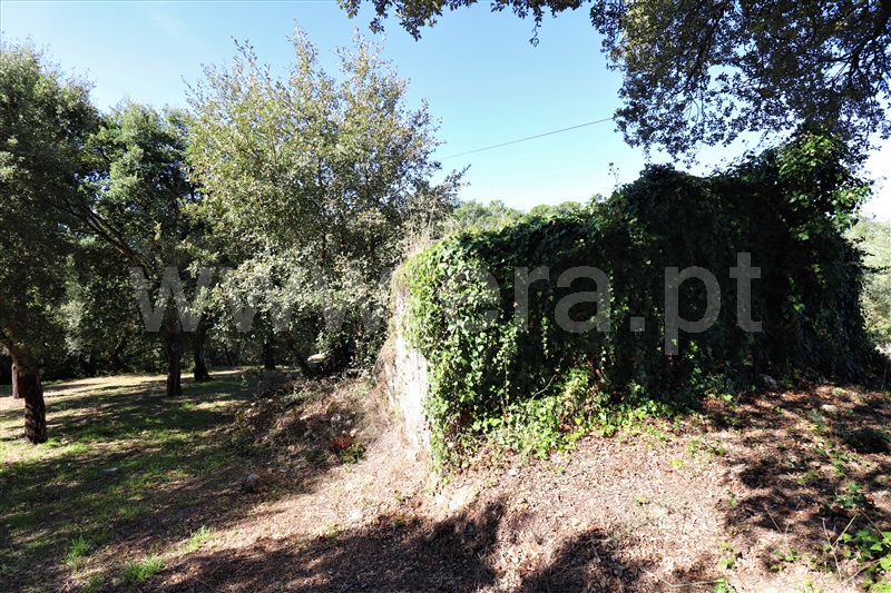 Moradia  Ourém, Seiça - 1114519 - 13
