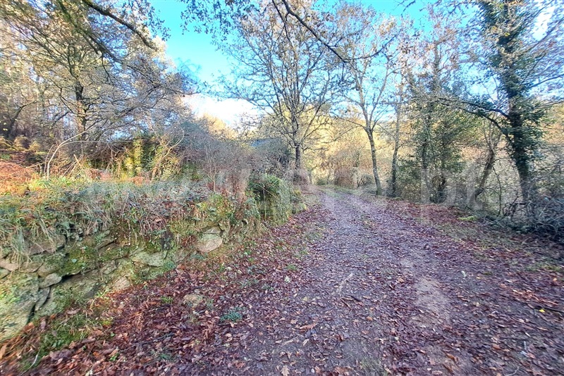 Moradia  Paredes de Coura, Agualonga - 1447355 - 2
