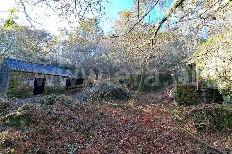 Moradia / Paredes de Coura, Agualonga