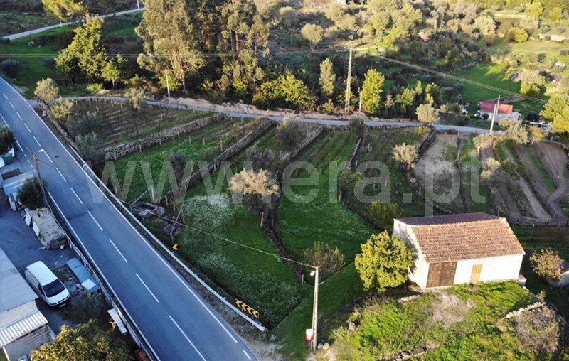 Terreno  com Rústico Penalva do Castelo, Sangemil - 1273818 - 1