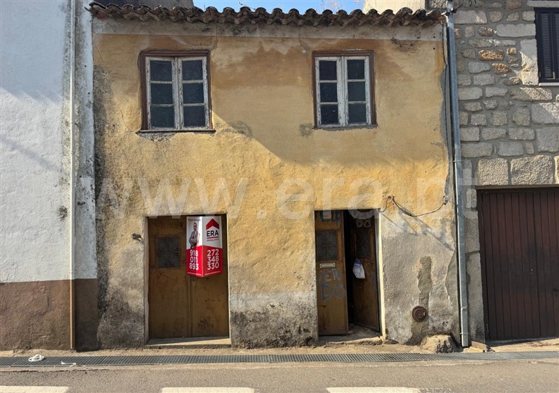 Moradia / Penamacor, Aranhas