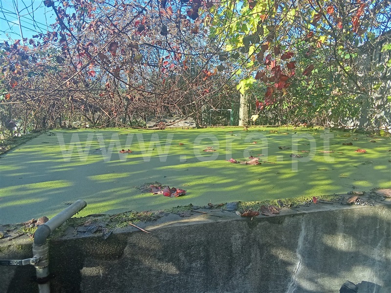 Moradia à venda em Beiral do Lima, Ponte de Lima — foto 17