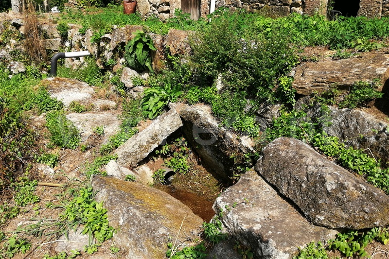 Moradia  Ponte de Lima, Cepões - 1271348 - 16