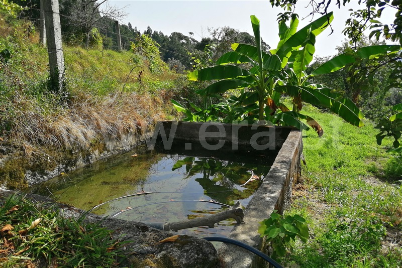 Moradia  Ponte de Lima, Cepões - 1271348 - 21