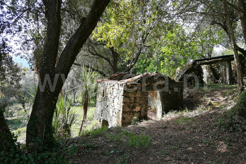 Moradia  Ponte de Lima, Cepões - 1271348 - 23