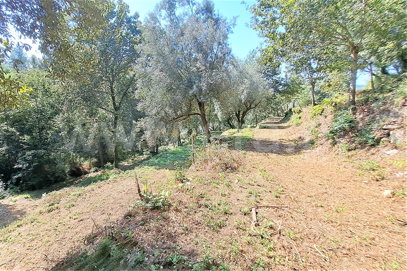 Moradia  Ponte de Lima, Cepões - 1271348 - 23