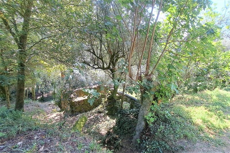 Moradia  Ponte de Lima, Cepões - 1271348 - 24