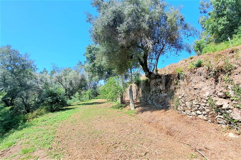 Moradia  Ponte de Lima, Cepões - 1271348 - 25