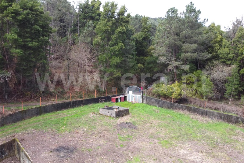 Moradia  Ponte de Lima, Labruja - 1464056 - 18