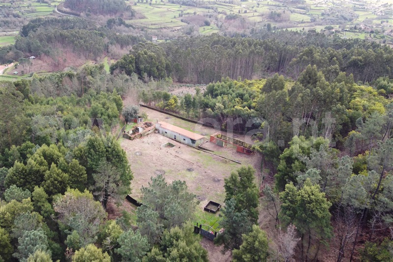 Moradia  Ponte de Lima, Labruja - 1464056 - 21