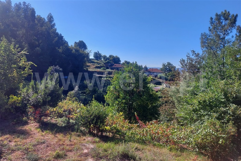 Moradia  Ponte de Lima, Labruja - 1503159 - 4