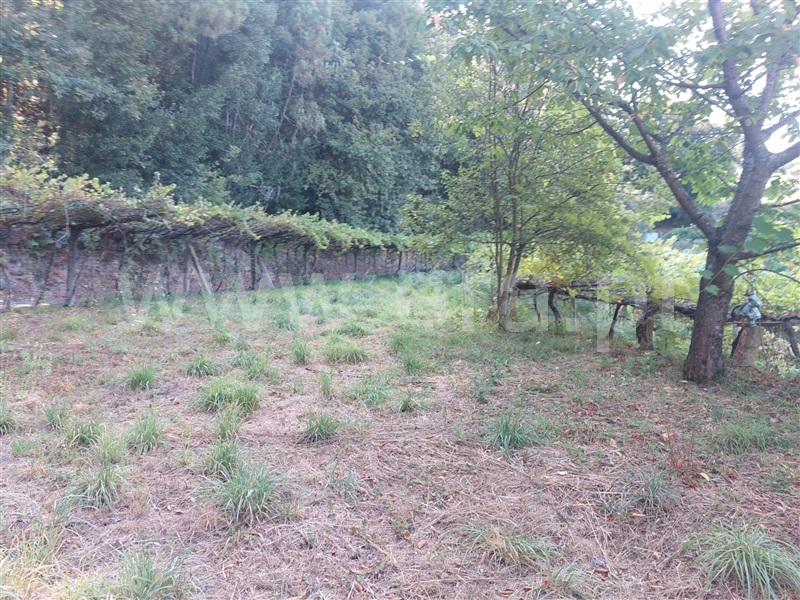 Moradia  Ponte de Lima, Labruja - 1503159 - 10