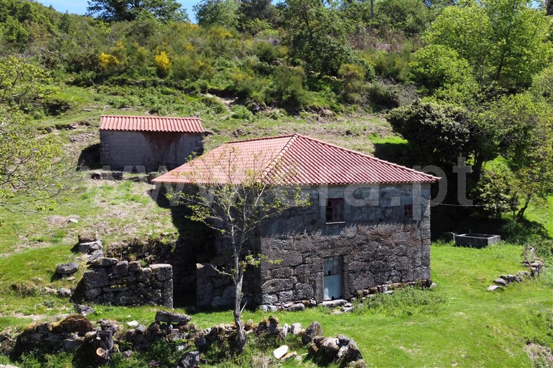 Moradia / Ponte de Lima, Vilar do Monte