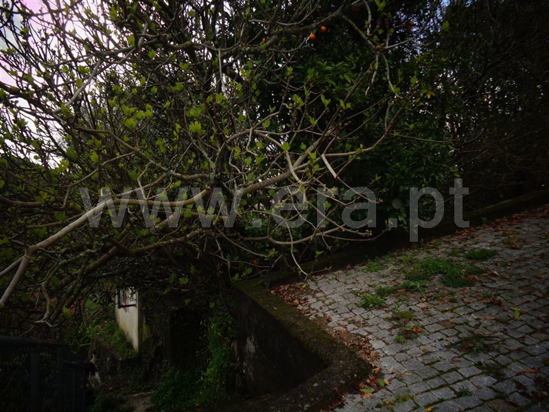 Moradia  Póvoa de Lanhoso, Esperança e Brunhais - 1079073 - 10