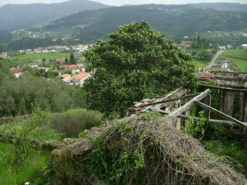 Quinta  Póvoa de Lanhoso, Travassos - 66016 - 6