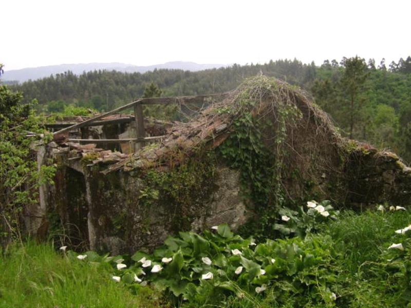 Quinta  Póvoa de Lanhoso, Travassos - 66016 - 4