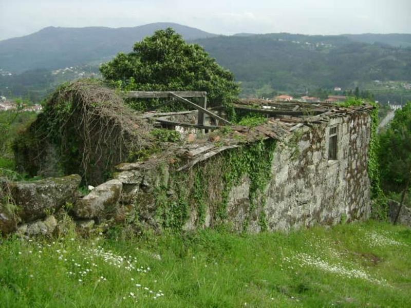 Quinta  Póvoa de Lanhoso, Travassos - 66016 - 7