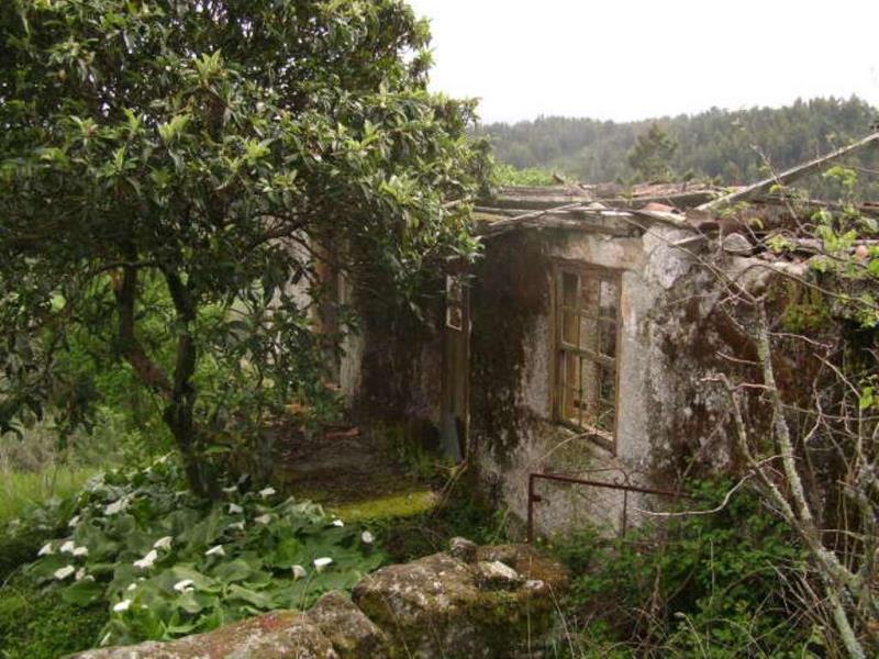 Quinta  Póvoa de Lanhoso, Travassos - 66016 - 10